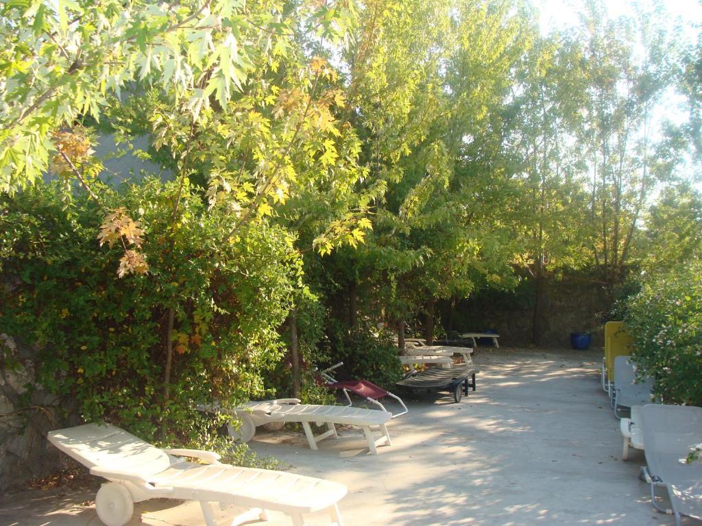 Pension Eclipse Oradea Exterior foto